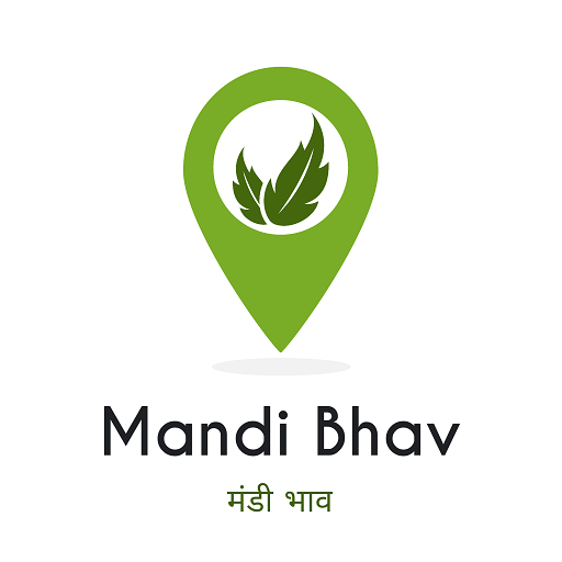 Mandi Bhav: मंडी भाव