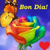 Bon dia Imatges