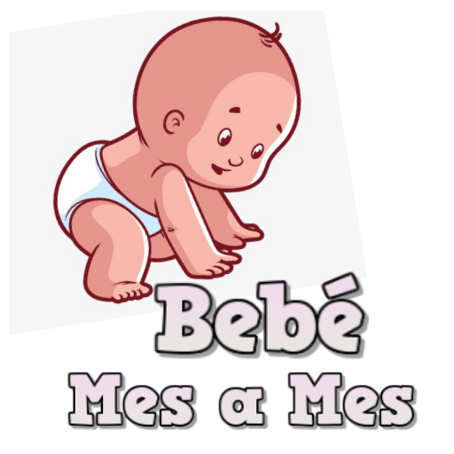 Bebé Mes a Mes