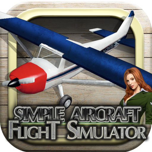 3D Airplane flight simulator by VascoGames