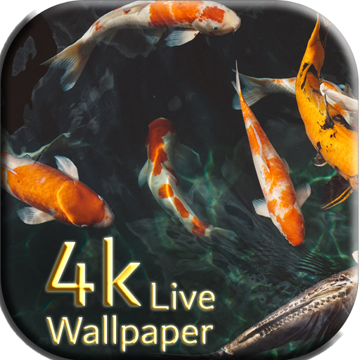 Carp Koi fish live wallpaper r