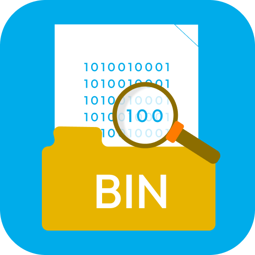 Bin File Opener & Bin Viewer