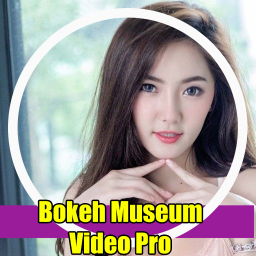 Bokeh Museum Video Pro