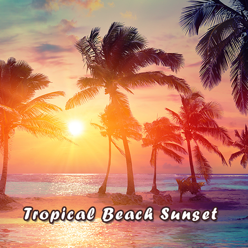 Tropical Beach Sunset Theme