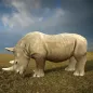 Wild Rhino Family Jungle Sim