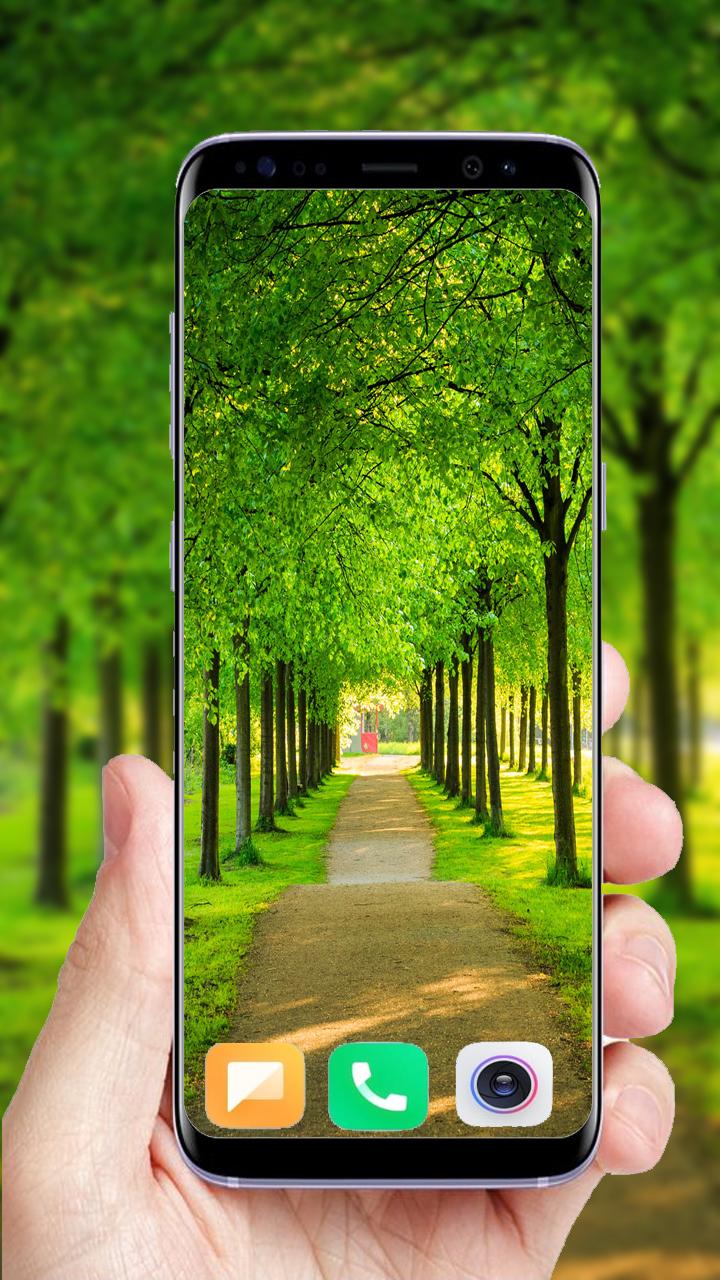 Download 500+Green Tree Wallpaper android on PC