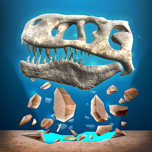 Fossil Hunt