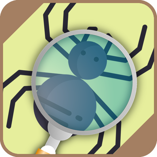 Automatic spider identifier