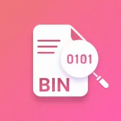 Bin File Viewer