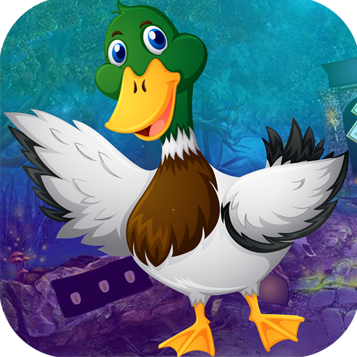 Best Escape Games 112 Mallard Duck Rescue Game