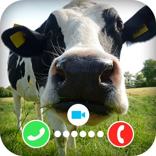 Cow Dance Fake Video Call