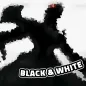 LEMON Black & White: n Kayrem