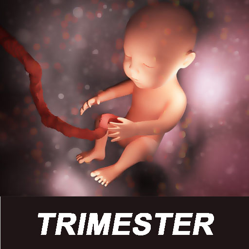Trimester Of Pregnancy Tracker