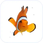 Fish Live Wallpaper Theme HD