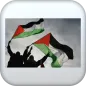 اغاني فلسطين-بدون نت