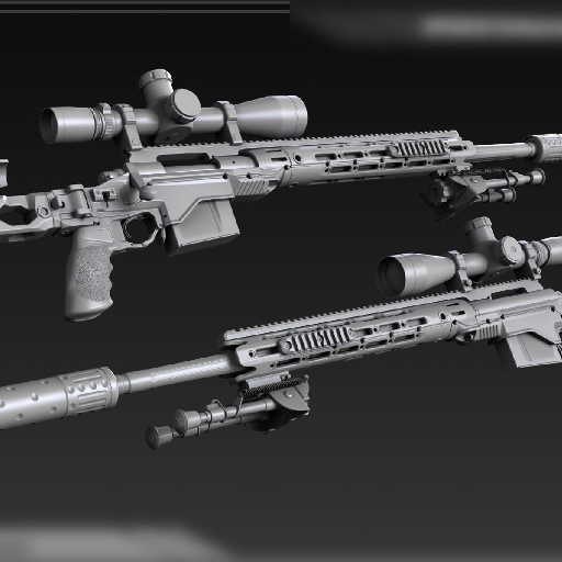 Wallpapers M2010 Enhanced Sniper Rifle ESR