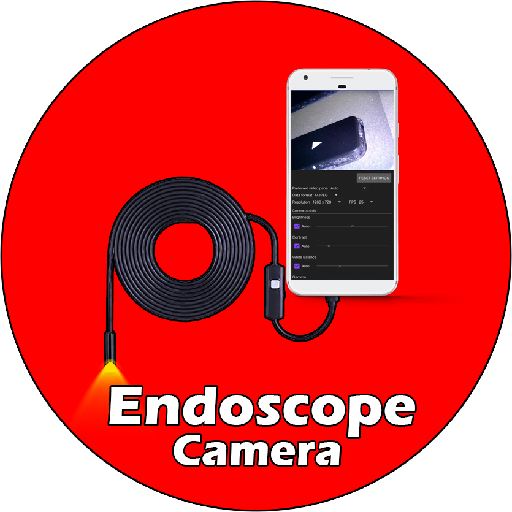 Endoscope Camera View