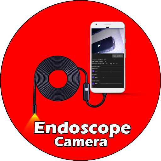 Endoscope Camera View