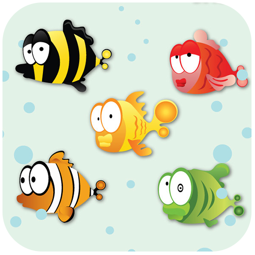 Feeding frenzy - ikan