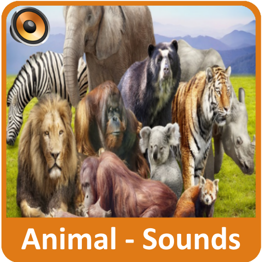 Animal Sounds