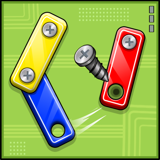 Screw Puzzle