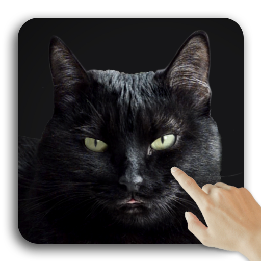 Cute Black Cat Live Wallpaper