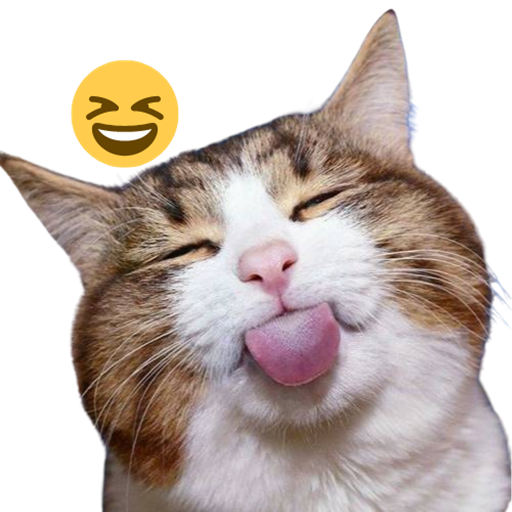 Stupid Funny Videos 2023