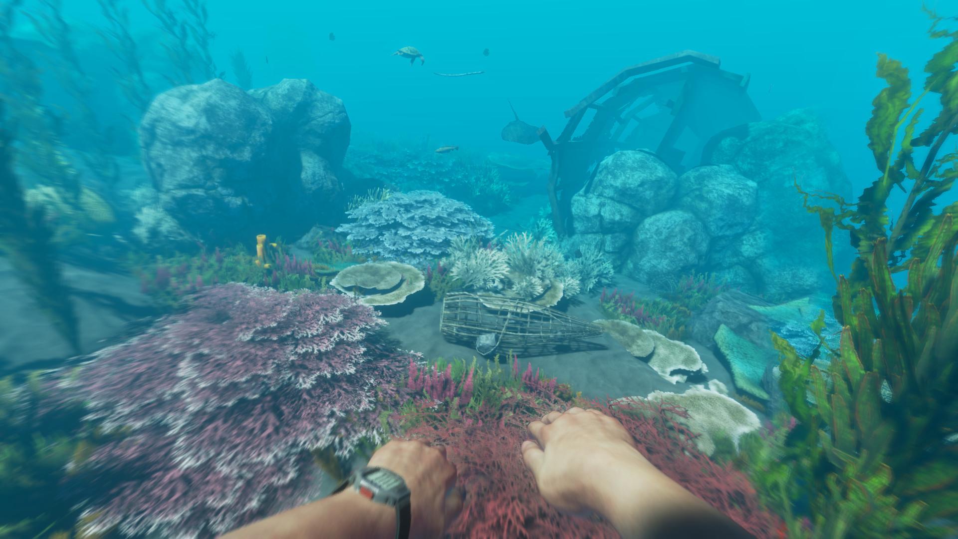 Stranded Deep: How To Get Clay