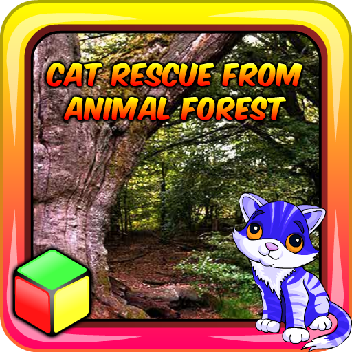 Cat Rescue From Animal Forest