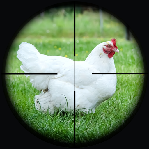 Memburu Sniper Tembak Ayam