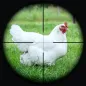 Memburu Sniper Tembak Ayam