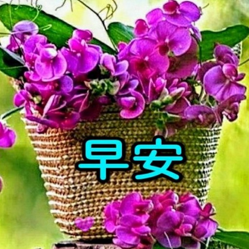 早安图片晚安  2022