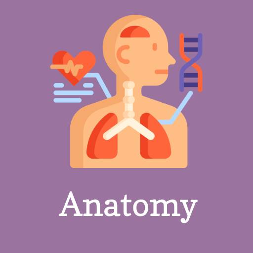 Learn Anatomy & Physiology