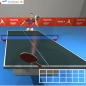 Table Tennis Kingdom