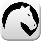 Chess Master - Board Game