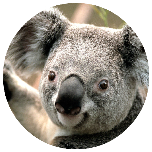 Australian Animals - Quiz