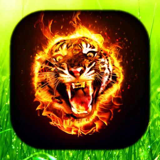 Tiger Live Wallpaper | Papel D