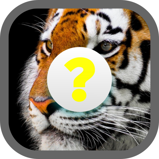 Animal Quiz (เกมทายชื่อสัตว์ ภ