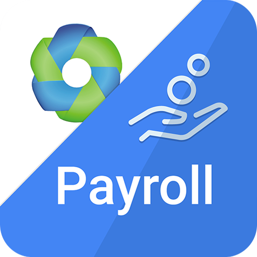 Farvision Payroll