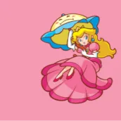 Princess Peach World