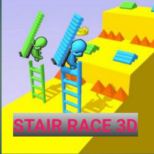 STAIR RACE 3D