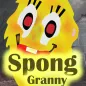 Horror Sponge Granny  The Scar