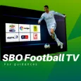 SBOTV Football Live Hints