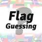 Flag Guessing