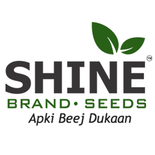 Shine Brand Seeds: Agriculture