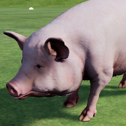 Happy Pig Simulator