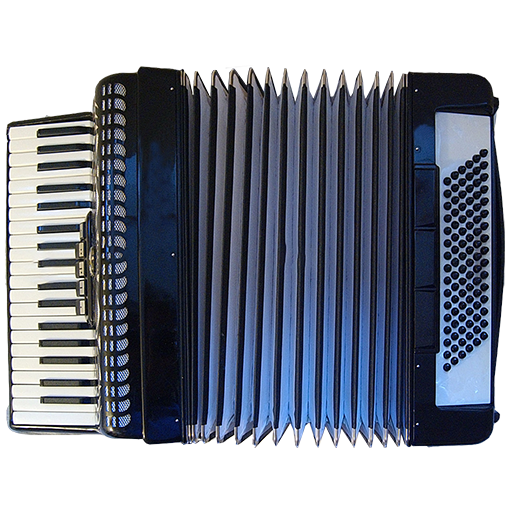 Pikkupate's Amazing Accordion