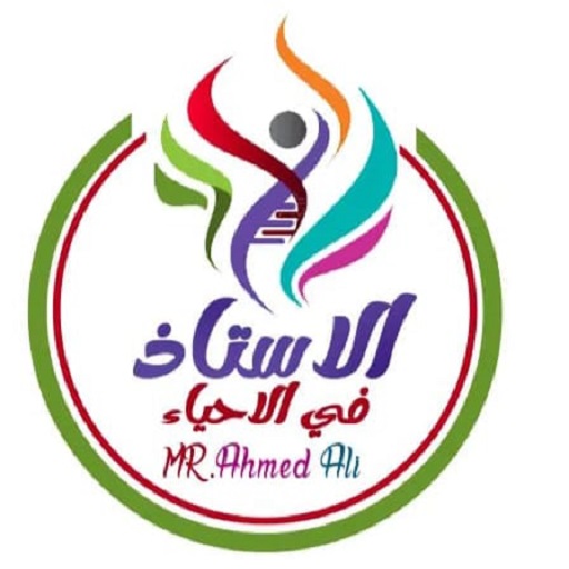 Master - Mr. Ahmed Ali