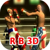 Ragdoll Boxing 3D