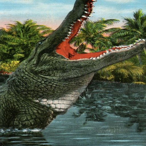 Crocodile Hunt: Wild Alligator